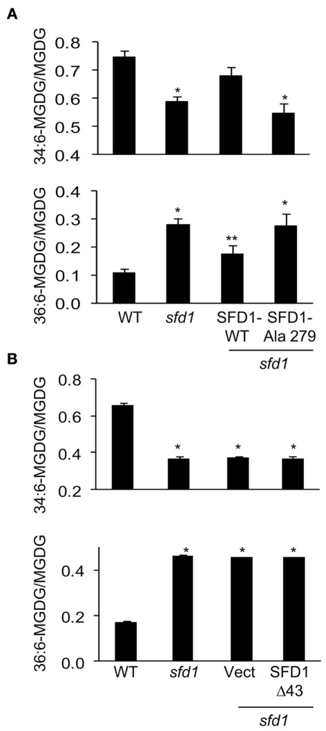 Figure 5