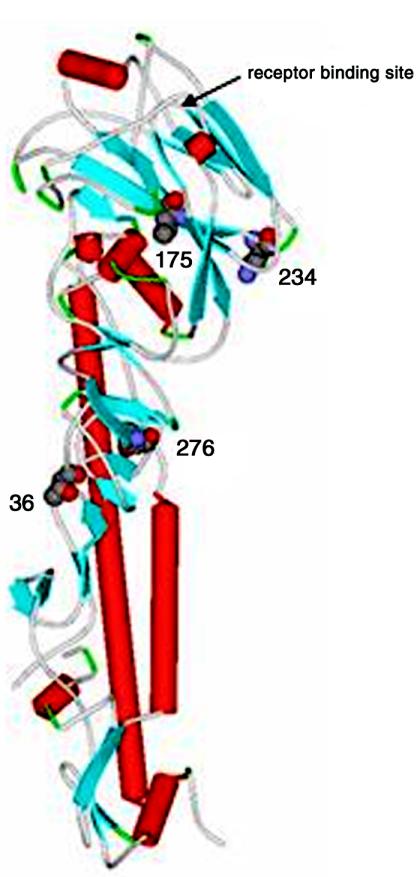 FIG. 4.