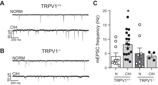 Fig. 10.