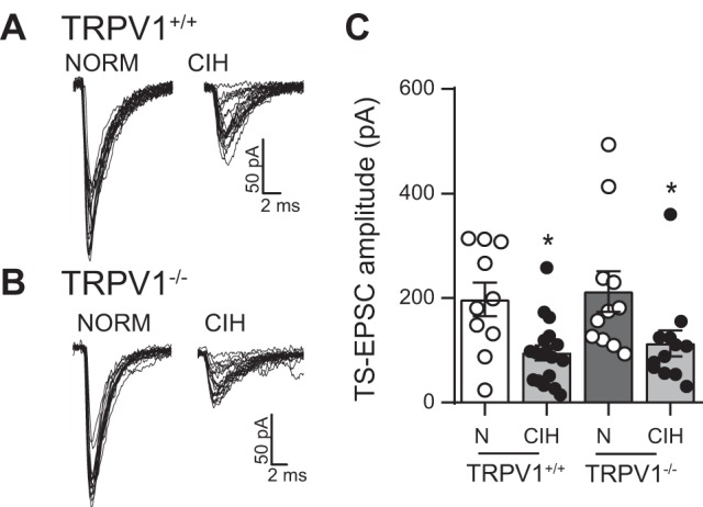 Fig. 8.