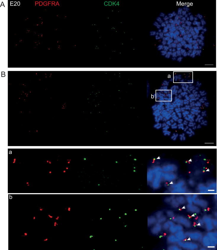 Figure 3—figure supplement 2.