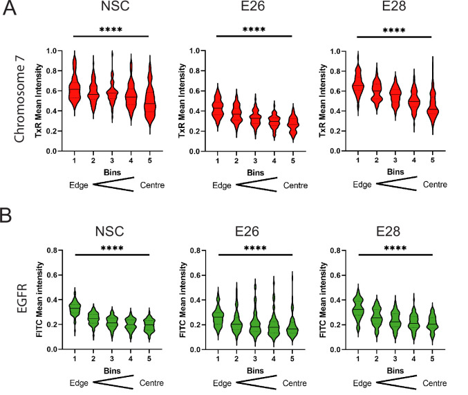 Figure 1—figure supplement 1.