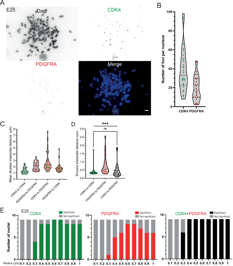 Figure 3—figure supplement 1.