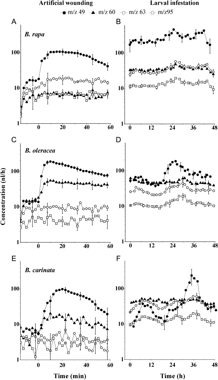 Fig. 4