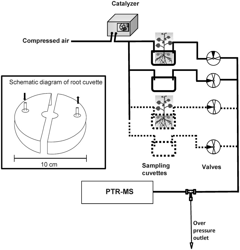 Fig. 1