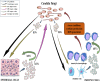 Image, graphical abstract