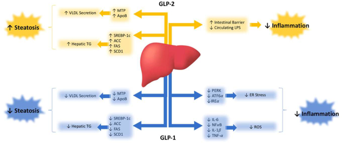 Figure 2: