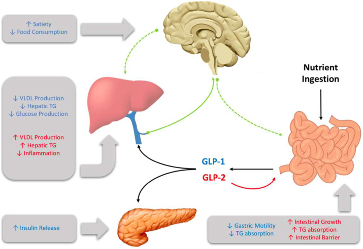 Figure 1: