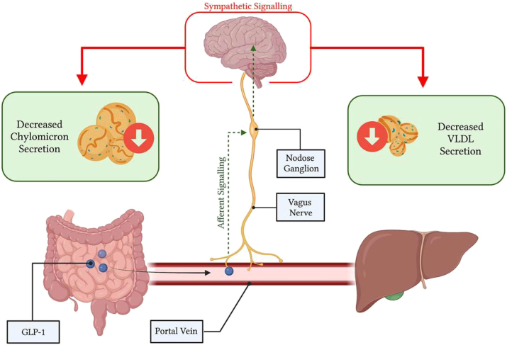 Figure 3: