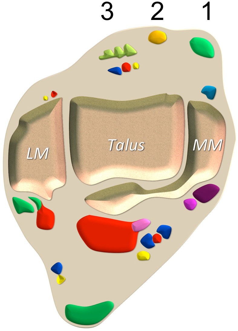 Fig. 1