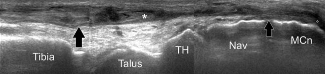 Fig. 9