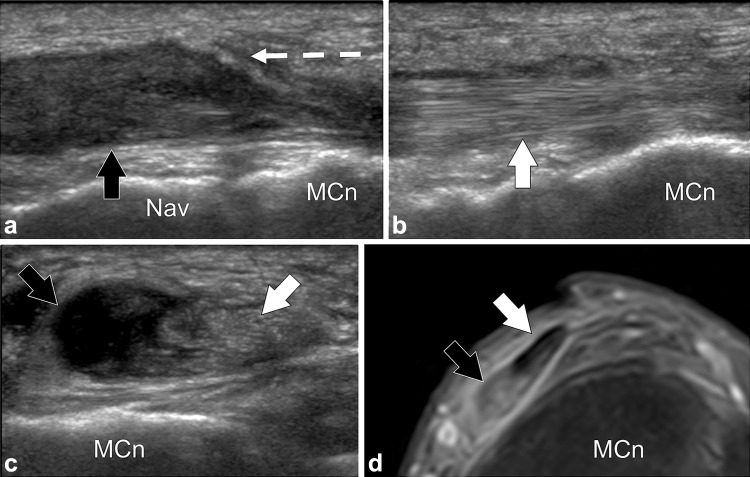 Fig. 8