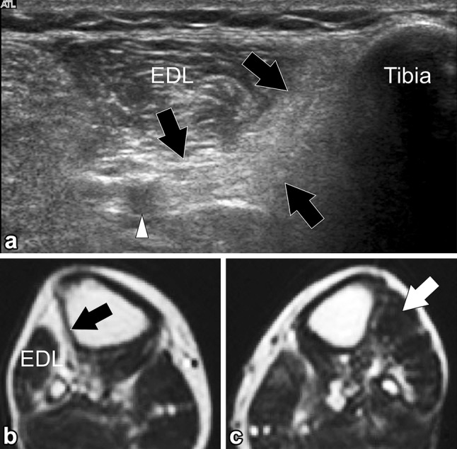 Fig. 6