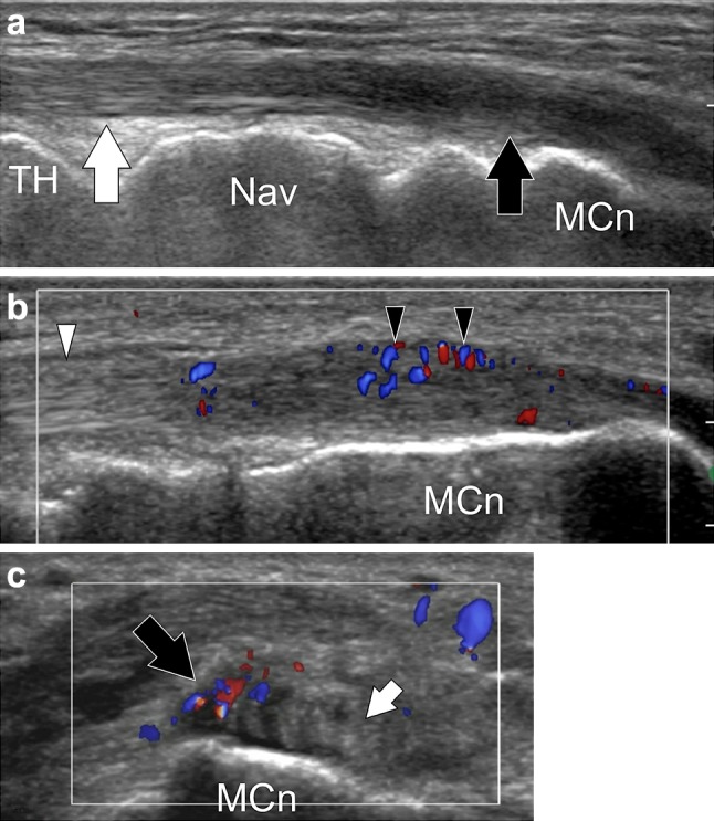 Fig. 7