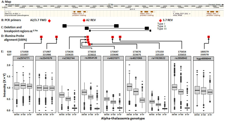 Figure 12. 