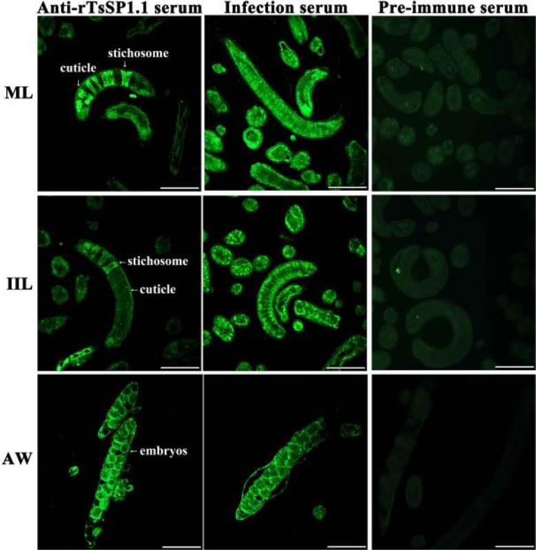 Fig. 5: