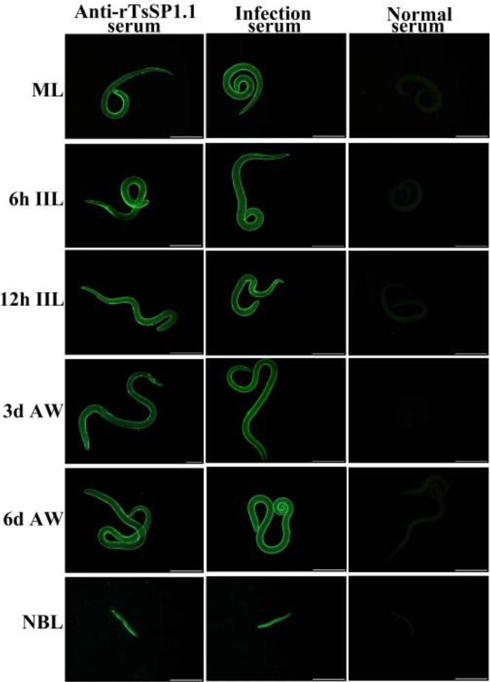 Fig. 4: