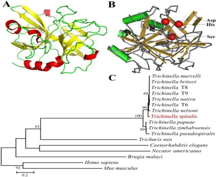 Fig. 2: