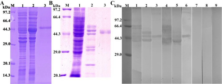 Fig. 3: