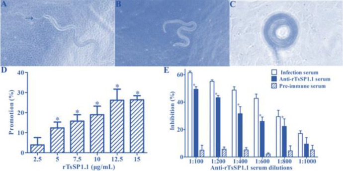 Fig. 6: