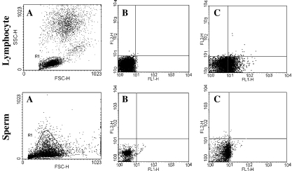 Fig. 1