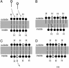 Fig. 2.
