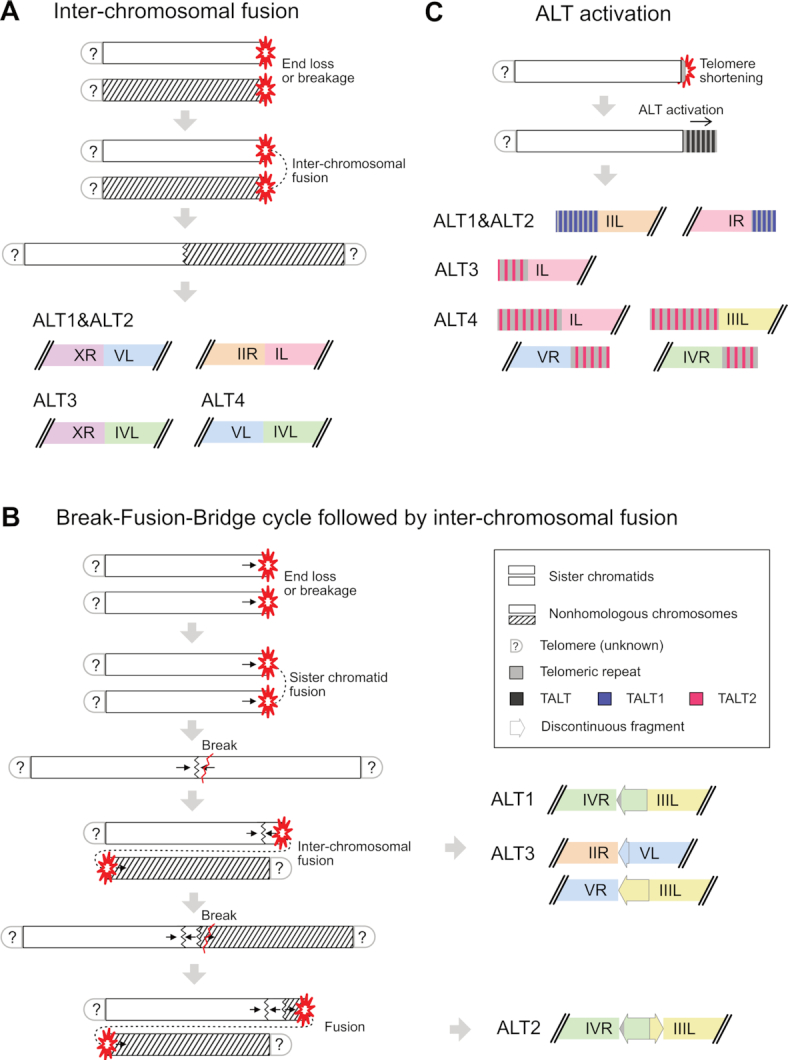 Figure 6.