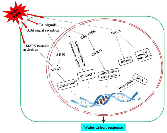 FIGURE 6