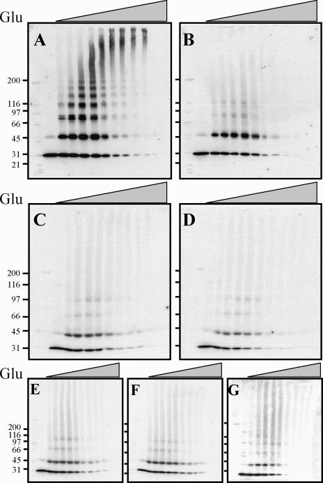 Fig 2.