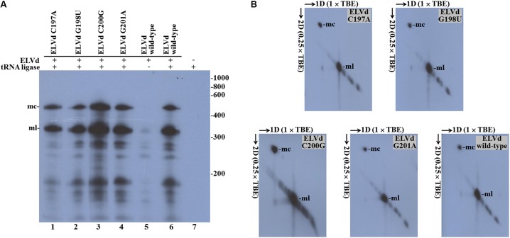 FIGURE 3