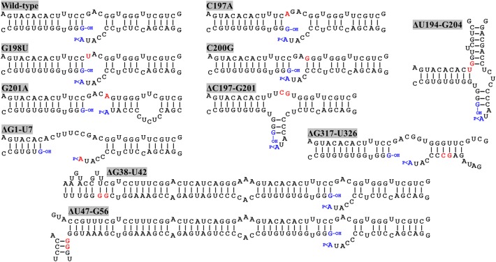 FIGURE 2