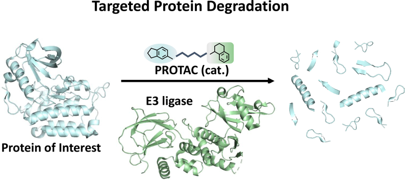 Unlabelled Image