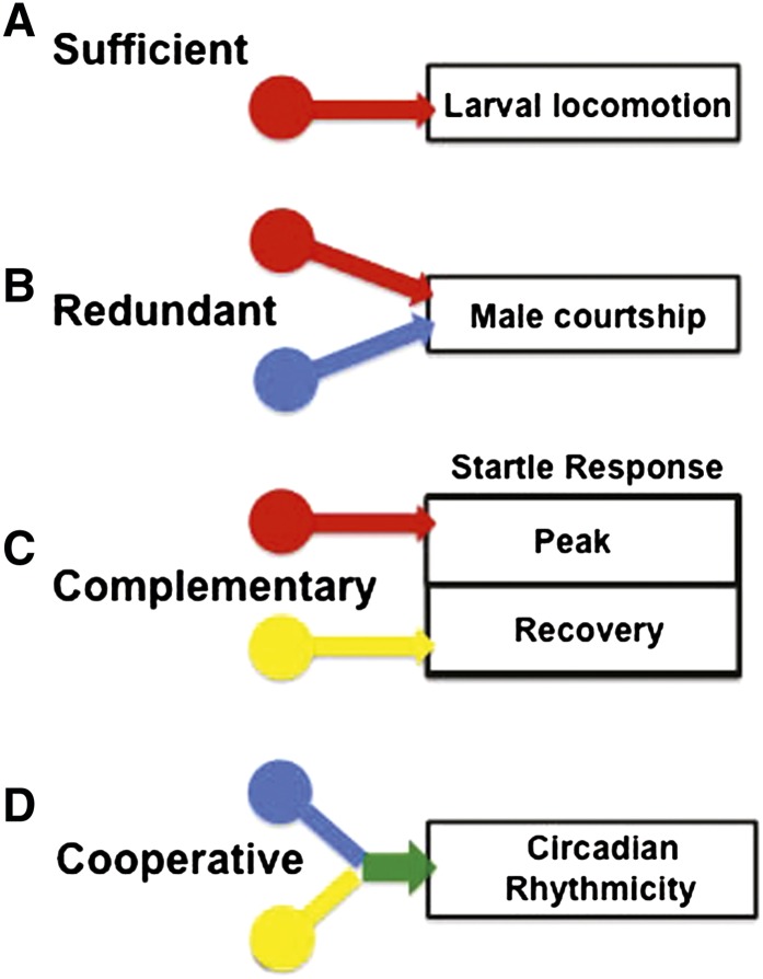 Figure 7 