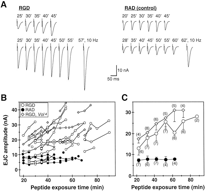 Fig. 8.