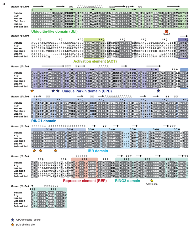 Extended Data Figure 4