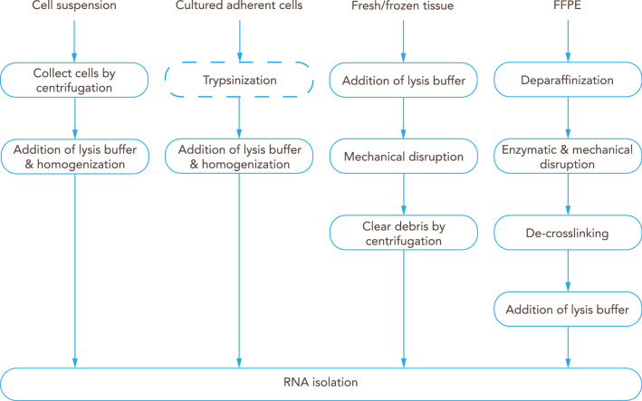 Fig. 7