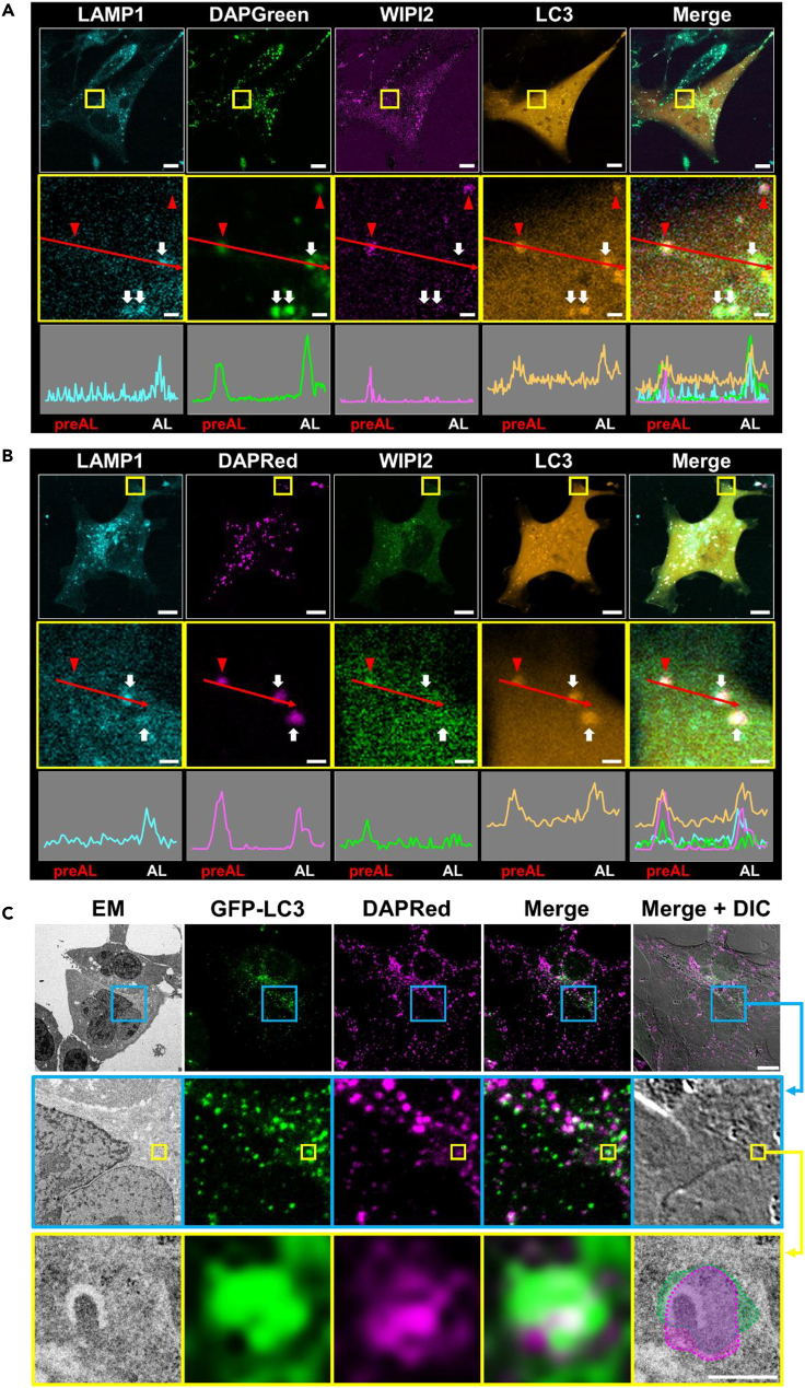 Figure 3