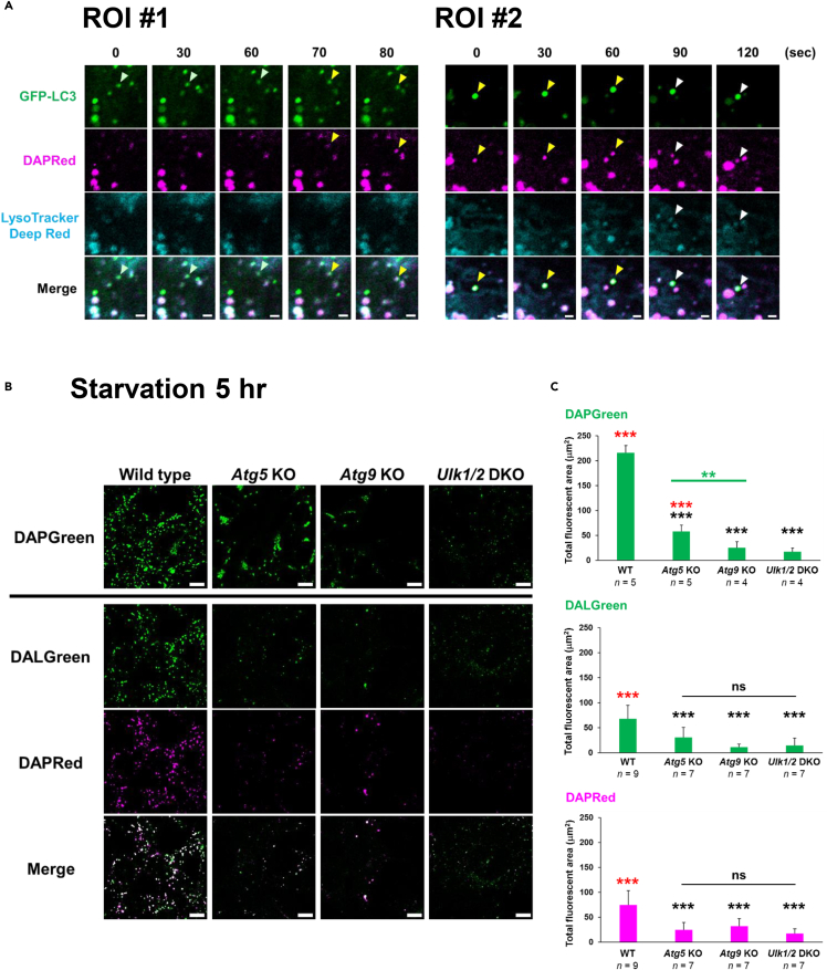 Figure 4