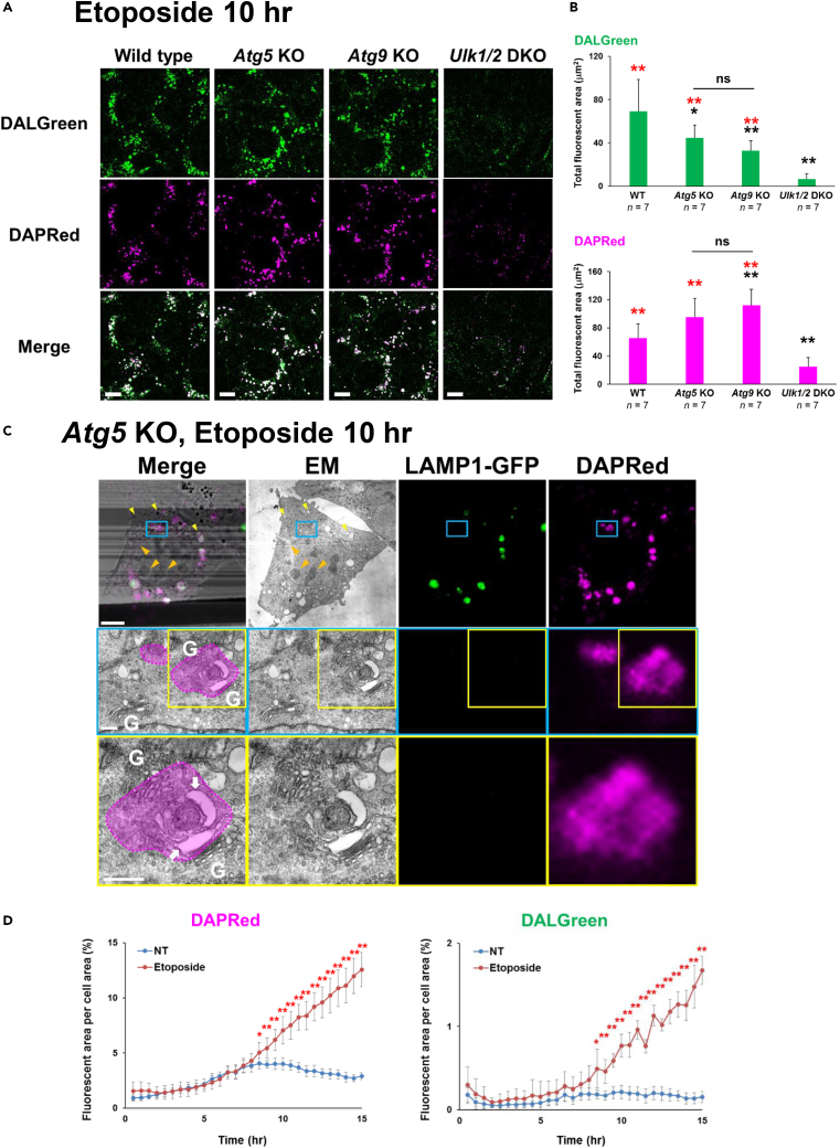 Figure 6