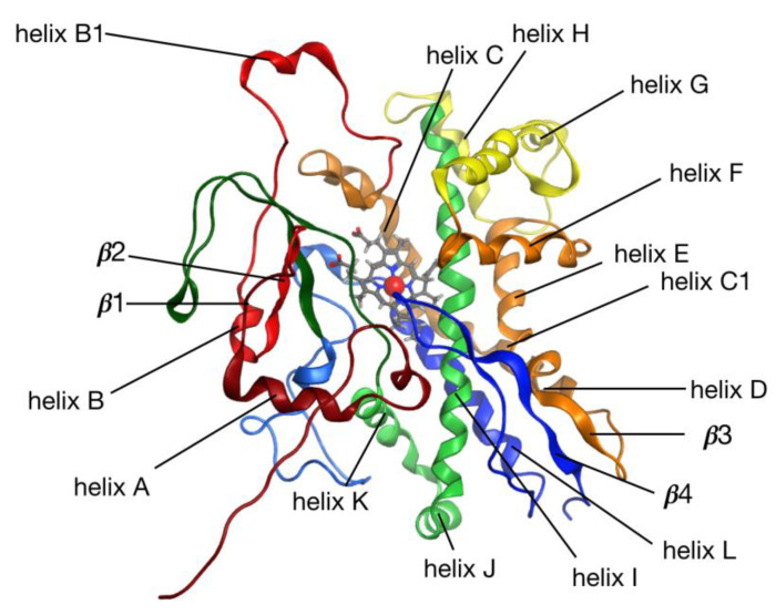 Figure 5