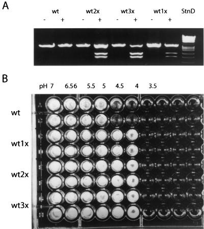 FIG. 4.