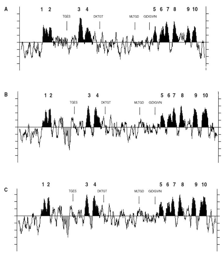 FIG. 3.