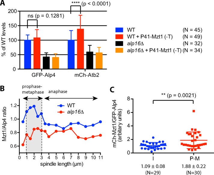 FIGURE 7: