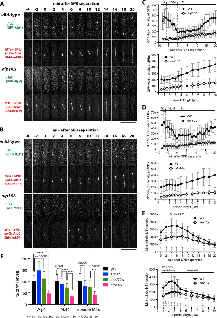 FIGURE 2: