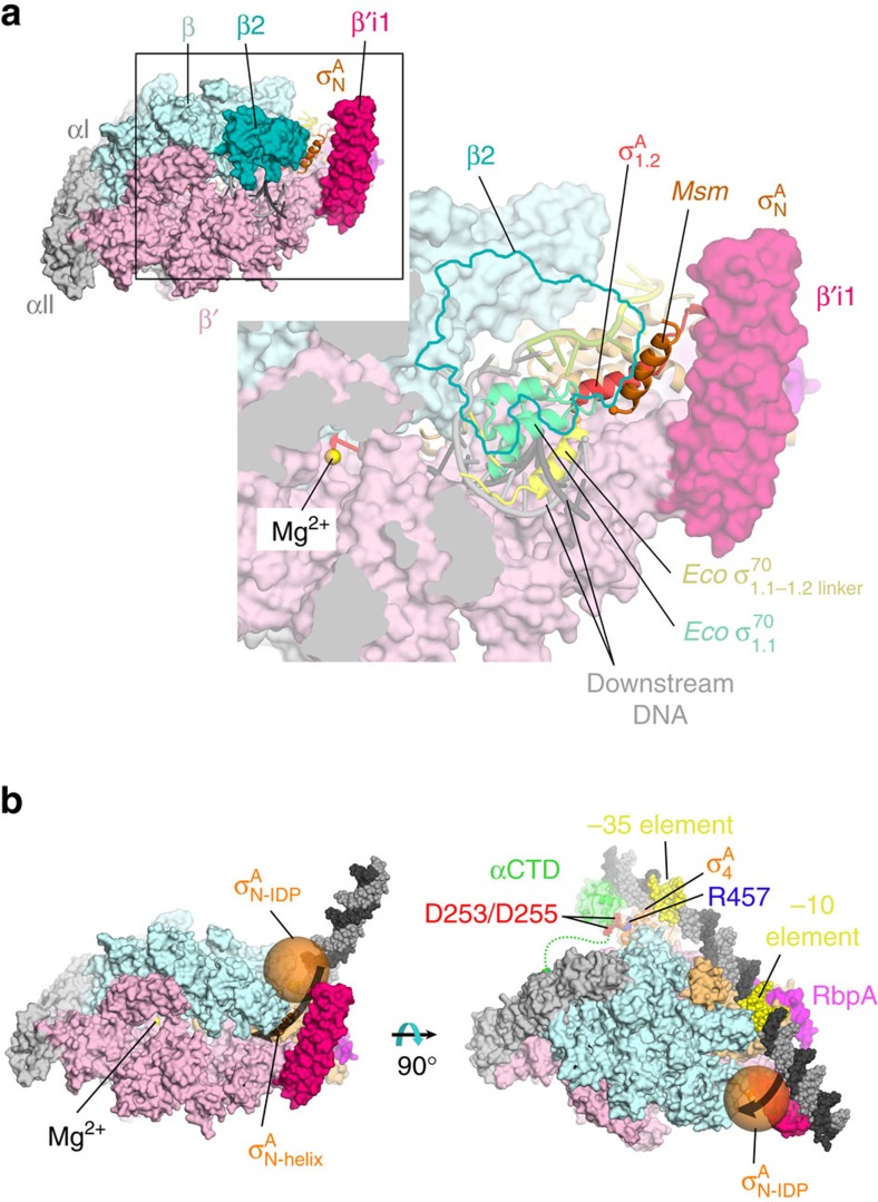 Figure 6