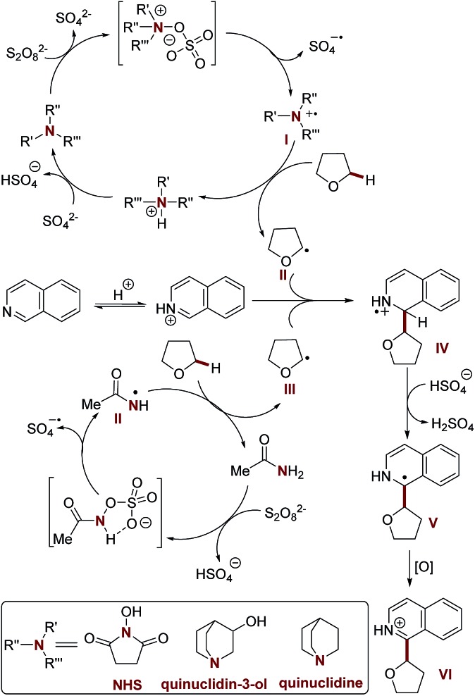 Scheme 1