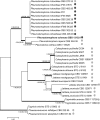 Fig 3