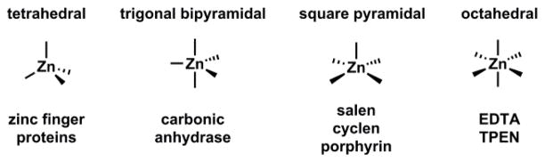 Fig. 12