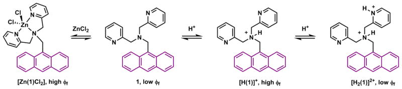 Scheme 1