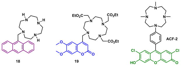 Fig. 21